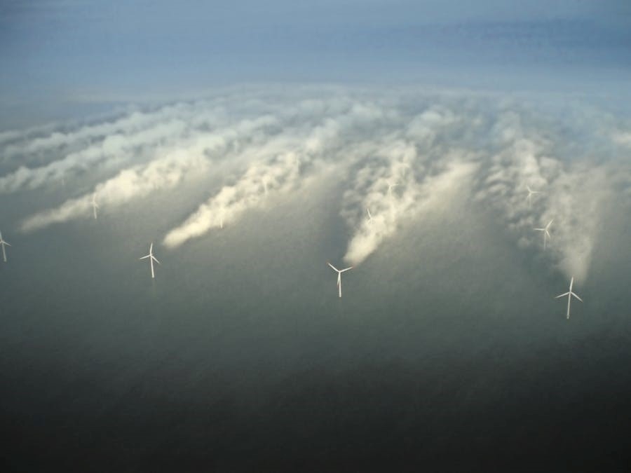 Steeds meer windparken op de Noordzee, legt de natuur het loodje? 