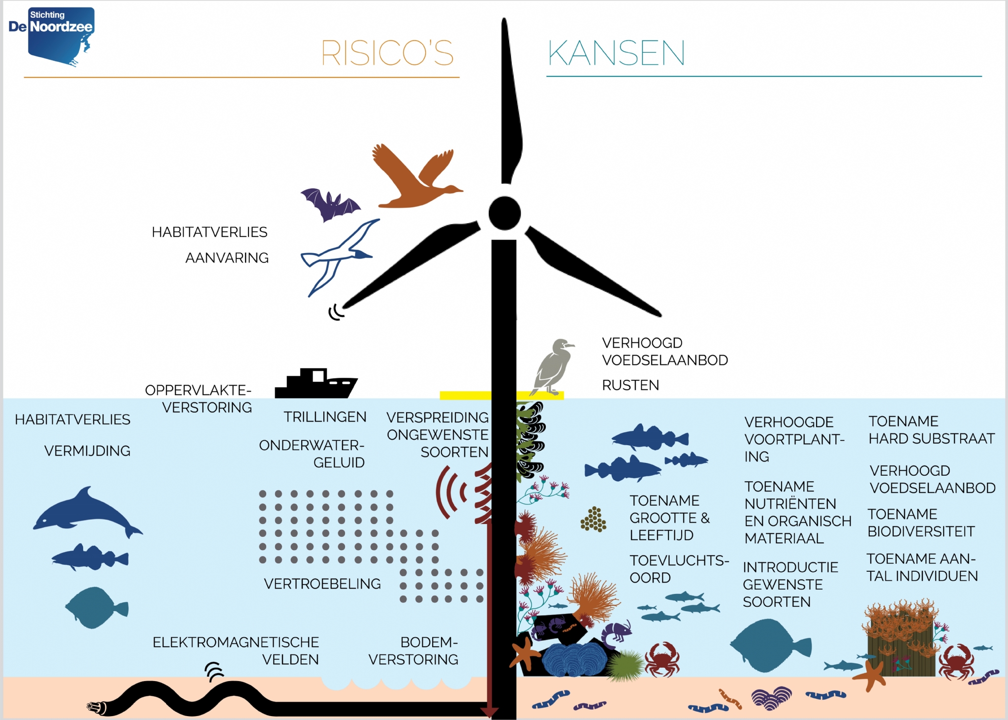 Ingrijpende veranderingen op de Noordzee door de groei van windparken vragen om meer onderzoek